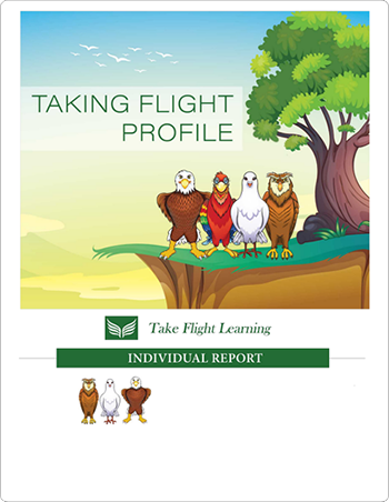 image of take flight sample report
