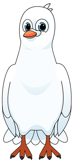 image of an dove