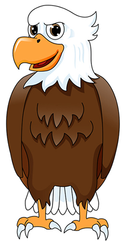 image of an eagle