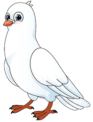 image of an dove
