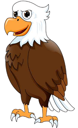 image of an eagle