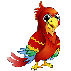image of an parrot