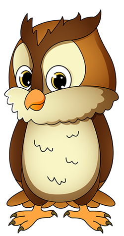 image of an owl