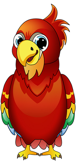 image of an parrot