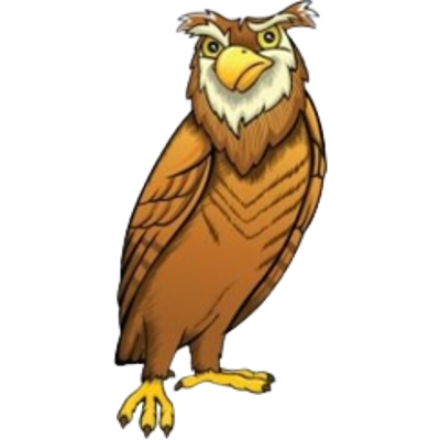 image of an owl