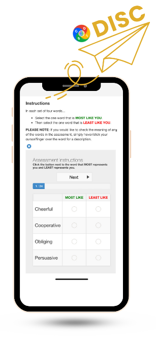 disc questionnaire